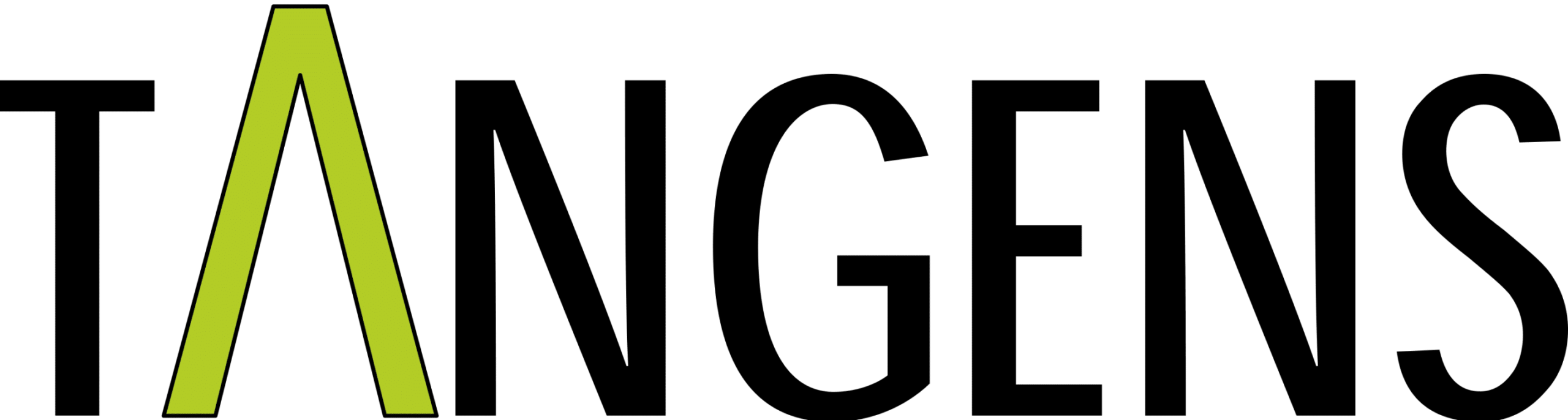 Weboldal mérnököknek by Tangens